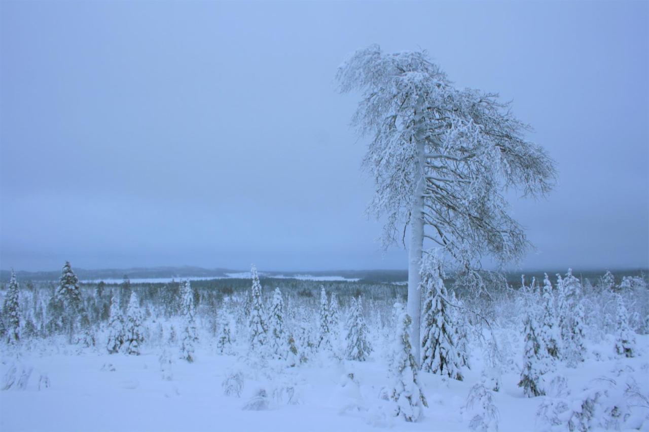 Kelokallas 2 Ruka Exteriér fotografie