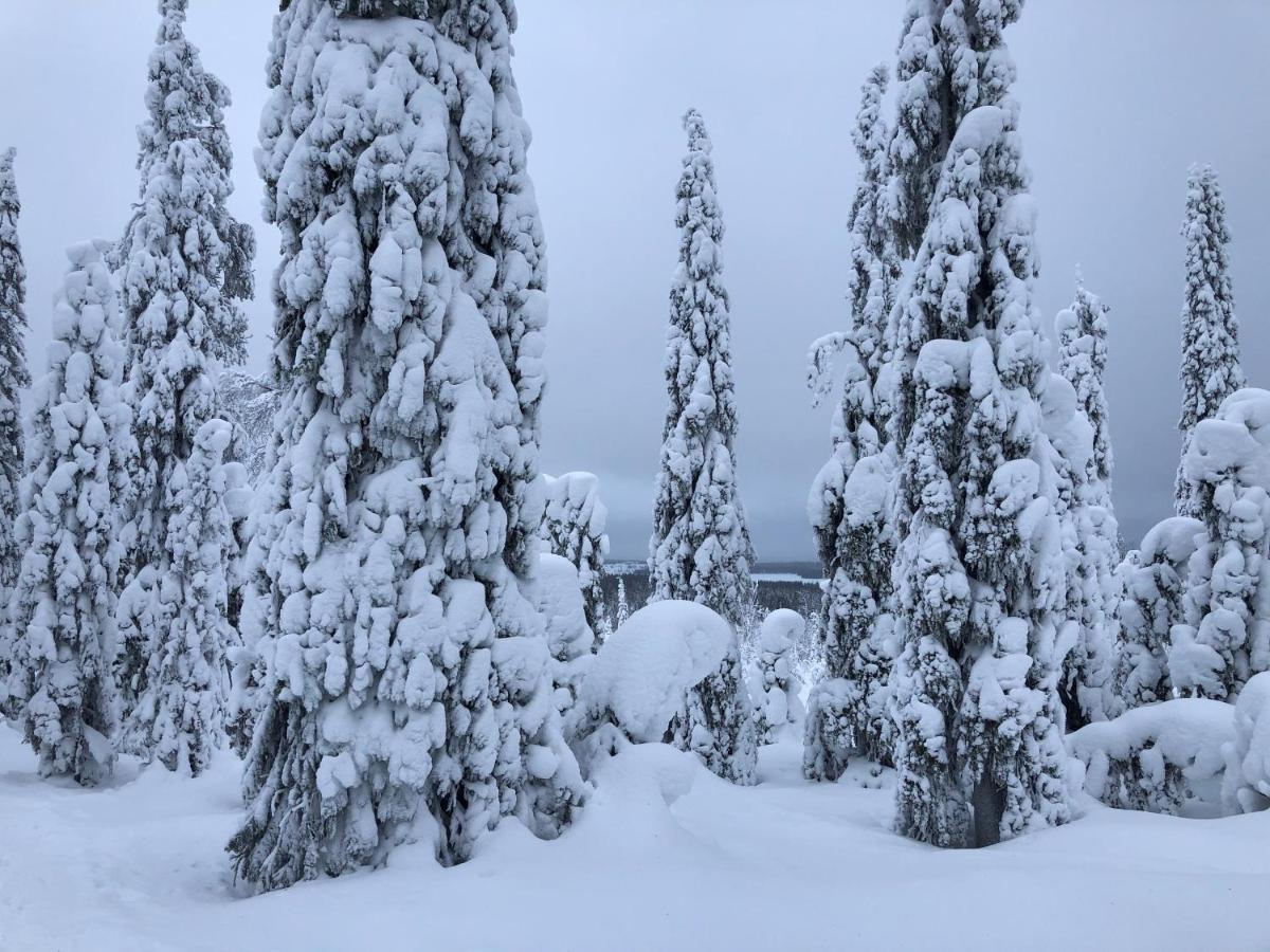 Kelokallas 2 Ruka Exteriér fotografie