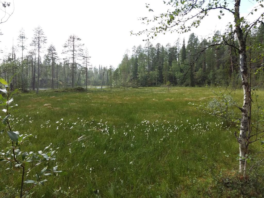 Kelokallas 2 Ruka Exteriér fotografie